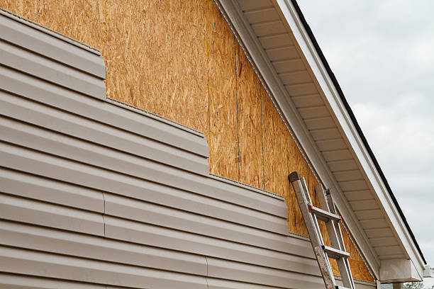 Professional Vinyl Siding technician working in District of Columbia, DC